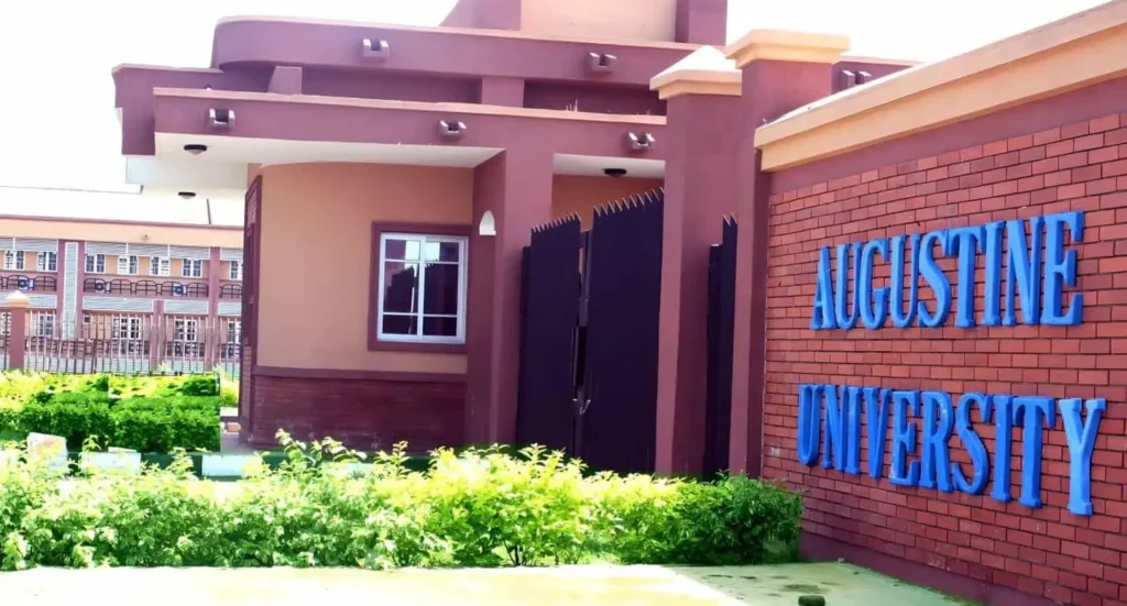 Augustine University