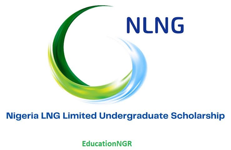 NLNG 2025 Undergraduate Scholarship