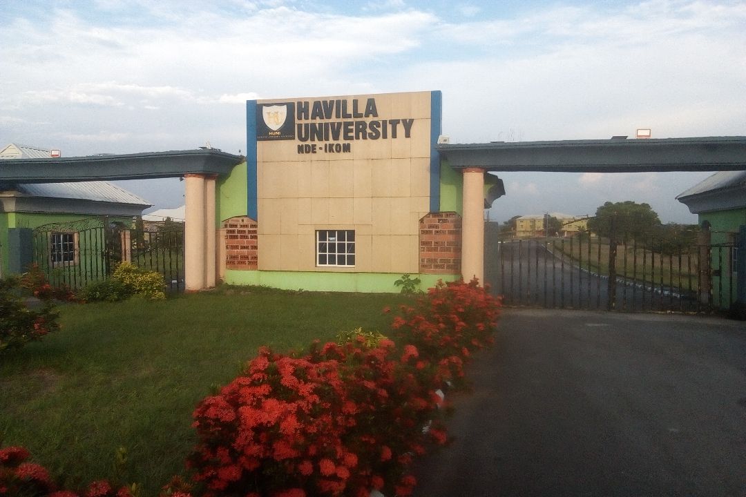 Havilla University